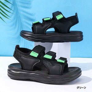 T_ q y r[`T_ j̎q X|[cT_ 傫TCY ̎q ANAV[Y T}[V[Y V[Y WjA LbY AEghA T_ ₷ ʊw  