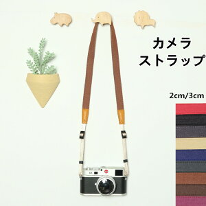 yyVX[p[SALEzOFFzJXgbv@J t Vv ჌t lbNXgbv zJXgbv ߃^Cv 킢@ jp LoX ΂ߊ|