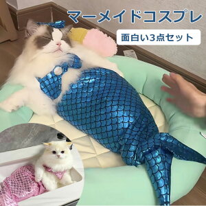 L }[Ch L  3_Zbg }[Ch L ybg RXv ybg l L ybgRXv ʔ l ybgߑ ybgRX`[ ybg ybgEGA Lbg