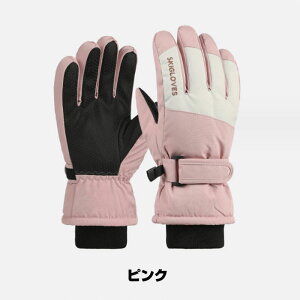  XL[O[u LbY XL[O[u qp XL[ Xm[{[h Xm[  Ԃ Xm[{[hEFA 5{w ۉ h Sh h q j̎q ̎q y h g