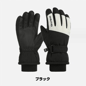  XL[O[u LbY XL[O[u qp XL[ Xm[{[h Xm[  Ԃ Xm[{[hEFA 5{w ۉ h Sh h q j̎q ̎q y h g