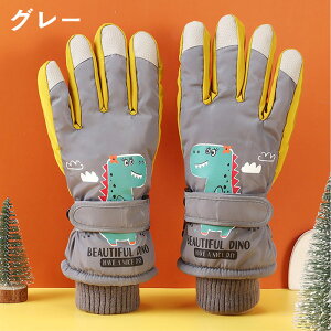  q XL[   LbY  j̎q ̎q q V Xm[O[u WjA XL[O[u N h { 5{w h H   a 7 8 