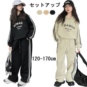 LO1ʎ܁b W[W LbY ZbgAbv ㉺Zbg 2_Zbg ̎q  pc  킢 JWA W[W K[Y XEFbg pc p[J[ r 