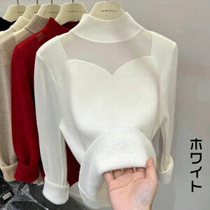 jbgZ[^[ fB[X H~ gbvX  jbg J nClbN  ZNV[ jbggbvX ujbg   ؂ւ ّf G l   ̌^J