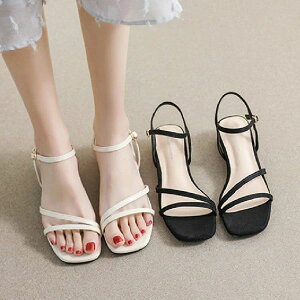 yyVX[p[SALEzOFFzfB[X T_ ėp 킢  r T_ ʋ ItBX l C V[Y ĕ Ȃ q[3cm ~ ɂȂ  ig ubN x