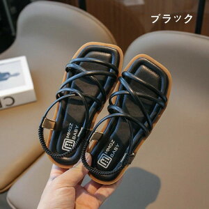 yyVX[p[SALEzOFFzT_ ̎q j̎q LbYT_ qT_ xr[T_ q X|[cT_ xr[T_ j  y ɂ Snǂ  Itz