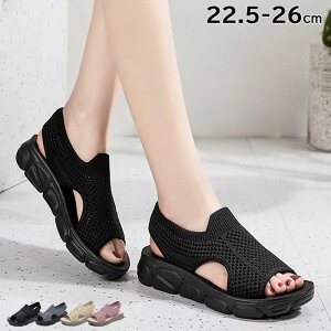 X|[cbVT_ fB[X 4cm vXgbv V[Y Xj[J[ r[`T_ y y ʋC r EH[LOV[Y wlC Vv JWA u