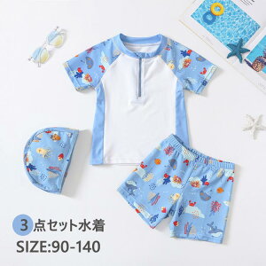 3_Zbg xr[  j̎q ݂   Y{ ㉺Zbg bVK[h ZbgAbv ct w LbY WjA q XN[ XCEFA XC~O v[ 