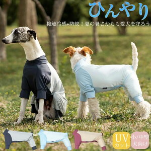 O΍ UVJbg AEghA   t   ڐG⊴ bVK[h h ^  ^ Ȃ p[X Ђ N[ N[EFA cool  h 悯 hbOEGA 