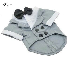 yyVX[p[SALEzOFFzhbO   ^LV[h ^ ^ ^ ^ ybg X[c lN^Ct tH[} n[lX ߂ o LO p[eB[   