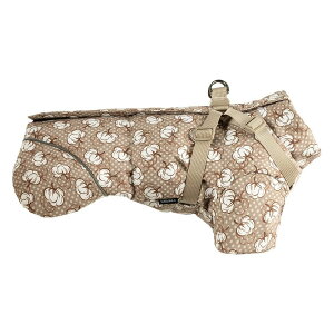   Wp[ ̕ WPbg R[g n[lX̌^ hbOEFA ȓ h h hbOEFA g ₷ ₷ ybg ^ ^ H H ~ ~p ~ H~ 