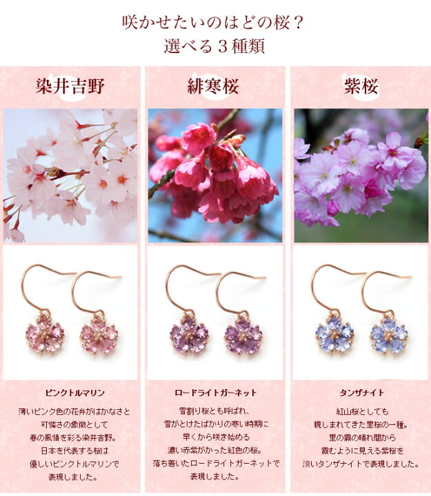 楽天市場】桜 ピアス レディース・サクラティア ピンクゴールド K10  