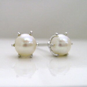 y3ȓoׁz Wp[ K14 zCgS[h X^bhsAXENEsAX { 14 14K Xg1_