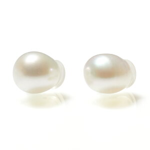 y3ȓoׁzp Wp[ sAXLb`EpVF[ VR Eh^ |eg^ i sAXLb`̂ yA