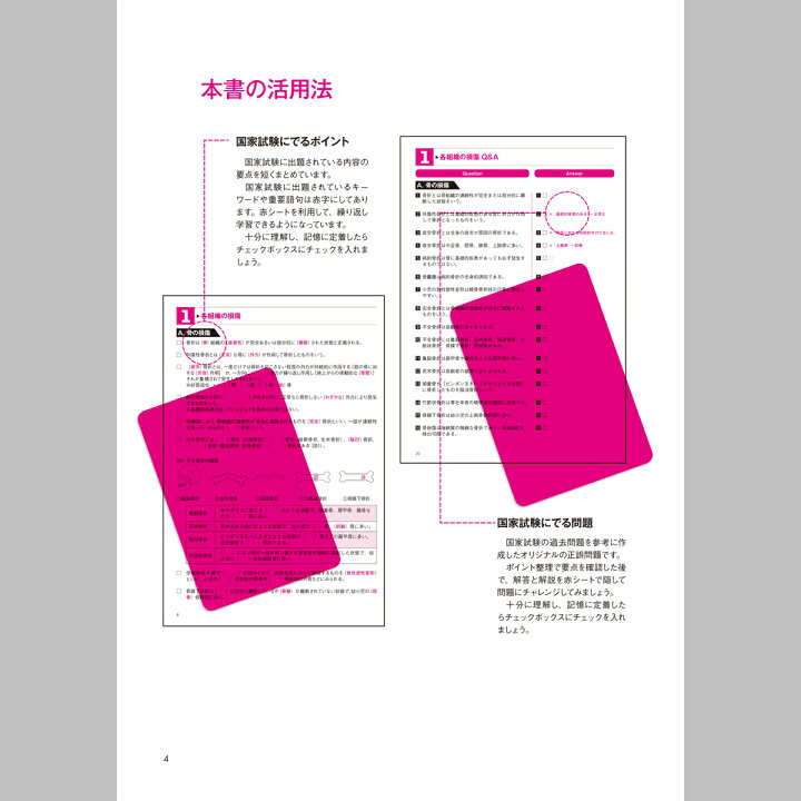 楽天市場 新刊 中巻 柔道整復師国家試験対策 でるポとでる問 増補改訂第２版 要点整理 ポイント整理 マルバツ問題 解答 解説 赤シート 柔整 送料無料 筋肉家
