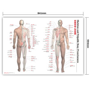 yAEgbgizyFA4TCY܂z wW Sg |X^[ uSgiƍwW |X^[v׋ wK o A1TCY tJ[  Ly[