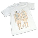 楽天市場 ｔシャツ 筋肉柄 筋肉チャートデザイン 筋ｔ スポーツｔシャツ 表面プリント フルカラー 解剖学 送料無料 キャンペーン 筋肉家