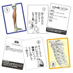 楽天市場 ２点セット10 Off かるた カルタ 筋肉かるた 骨かるた特別２点セット 読み上げアプリ付 カード ゲーム イラスト 絵札 特徴 読み札 つぶやき 送料無料 キャンペーン 筋肉家