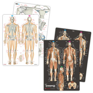 l O ~ uؓiŁjƊ֐ l̂܂킩V[g2Zbgyӂ肪ȕtzv ׋ wK o A4TCY ʃJ[ vX`bN ËL  Ly[