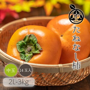 ˂Ȃ ` y 2L TCY 3kg z 14Ȃ߂炩ȐHAʏ`LxŃW[V[ȊÖ킪Ȃ̂ŐHׂ₷lCׂȃLŶ邲ƒpYʓ{ {IBYYn