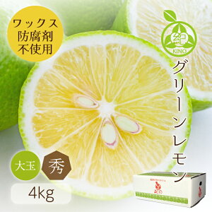 Y y Gi L/2L TCY 4kg z炲ƐHׂ O[m[bNX h hJr sgpSESڂ̔Giu₩ȍ肪łYn