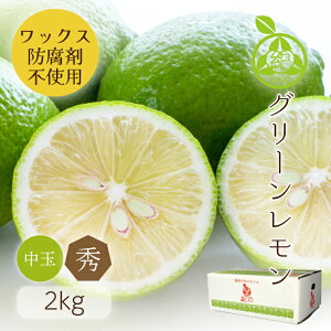  Y y Gi M TCY 2kg z炲ƐHׂ O[m[bNX h hJr sgpSESڂ̔Giu₩ȍ肪łYn