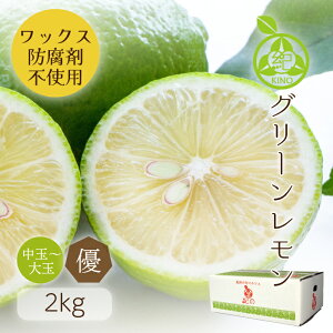  Y y LY ƒp 2kg z炲ƐHׂ O[m[bNX h hJr sgpSESu₩ȍ肪łYn蒼 