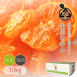 小玉みかん 送料無料【 SS/S サイズ 10kg】濃厚な甘みがギュッと詰まった 薄皮みかん人気のSSからSサイズに厳選多少キズありご家庭用 産地より直送昭和26年創業目利きで選ぶこだわりみかん毎