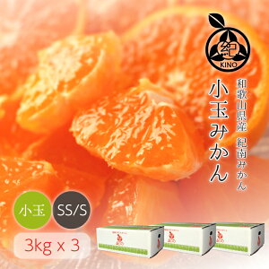 小玉みかん 送料無料【 SS/S サイズ 3kg x3箱 】濃厚な甘みがギュッと詰まった 薄皮みかん人気のSSからSサイズに厳選多少キズありご家庭用 産地より直送昭和26年創業目利きで選ぶこだわりみか
