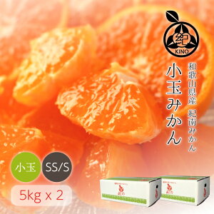 小玉みかん 送料無料【 SS/S サイズ 5kg x2箱】濃厚な甘みがギュッと詰まった 薄皮みかん人気のSSからSサイズに厳選多少キズありご家庭用 産地より直送昭和26年創業目利きで選ぶこだわりみか
