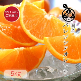 国産 バレンシアオレンジ 送料無料【 L/2L/3L(中玉から大玉)サイズ 5kg 】多少キズあり ご家庭用ノーワックス 防カビ剤不使用 安心の国産オレンジ昭和26年創業 目利きで選ぶこだわりみかん産地より直送 新鮮なままお届けします