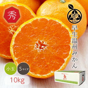 Ε Mtg  B ݂ y Gi STCY 10kg za̎R IYÖƋl܂ ʂ݂ ڂ̔Gi Mtgɂ߂ła26Nn ڗ