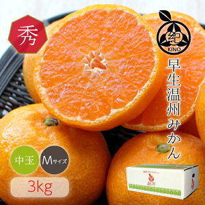 Ε Mtg  B ݂ y Gi MTCY 3kg za̎R IYÎ_̃oXɗDAMtgɍœKڂ̔Gi Mtgɂ߂ła26Nn ڗőI