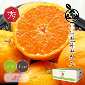 Ε Mtg  B ݂񑗗 y Gi LTCY 5kg za̎R IY@a̎Ȓ݂\i ڂ̔Gi Mtgɂ߂ła26Nn ڗőIԂ݂