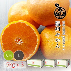 和歌山県産 完熟 大玉 みかん【5kgx3箱】産地直送 送料無料 Lサイズ甘味と酸味のバランスに優れ果汁たっぷりの温州みかん早生みかん 完熟みかん 紀南みかん 木熟みかん 冬のみかん和歌山 紀南 田辺糖度 甘い ジューシー ご家庭用 訳あり お取り寄せ