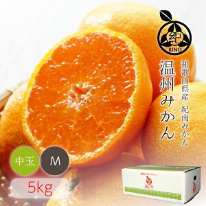 温州みかん 送料無料【 Mサイズ 5kg 】多少キズあり ご家庭用和歌山県 紀南産 産地より直送甘味と酸味のバランスに優れた中玉みかん昭和26年創業 目利きで選ぶこだわりみかん毎朝市場で全