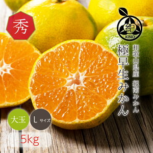 【7営業日以内に発送中】極早生みかん 送料無料【 秀品 L サイズ 5kg 】和歌山県 紀南産極早生品種の中でも、糖度が高く酸味が少ない品種に厳選見た目の美しい秀品 ギフトにもおすすめです