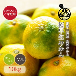 y3cƓȓɔzɑ݂ y M/L TCY 10kg zLY育ƒpa̎R IYɑi̒łAx_ȂiɌIYn蒼 VNȂ܂