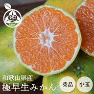 極早生みかん 送料無料【 秀品 SS サイズ 】2kg 3kg 5kg 7.5kg 10kg 和歌山県 紀南産極早生品種の中でも…