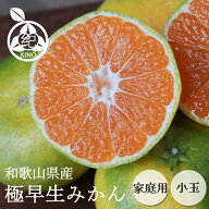 みかん 小玉 産地直送 送料無料極早生みかん 小玉みかん【 SS/S サイズ 】2kg 3kg 5kg 7.5kg 10kg和歌山 …