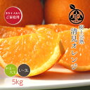 清見オレンジ 送料無料 【 L/2L/3L(中玉から大玉)サイズ 5kg 】多少キズありご家庭用希少な樹上完熟 木熟と鮮度の証 葉付きでお届けします昭和26年創業 目利きで選ぶこだわりみかん産地より直送 新鮮なままお届けします