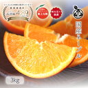 国産 ネーブル オレンジ 送料無料【 中玉〜大玉サイズ 3kg 】ご家庭用希少な樹上完熟 上品な甘味ときめ細かな果肉が特…