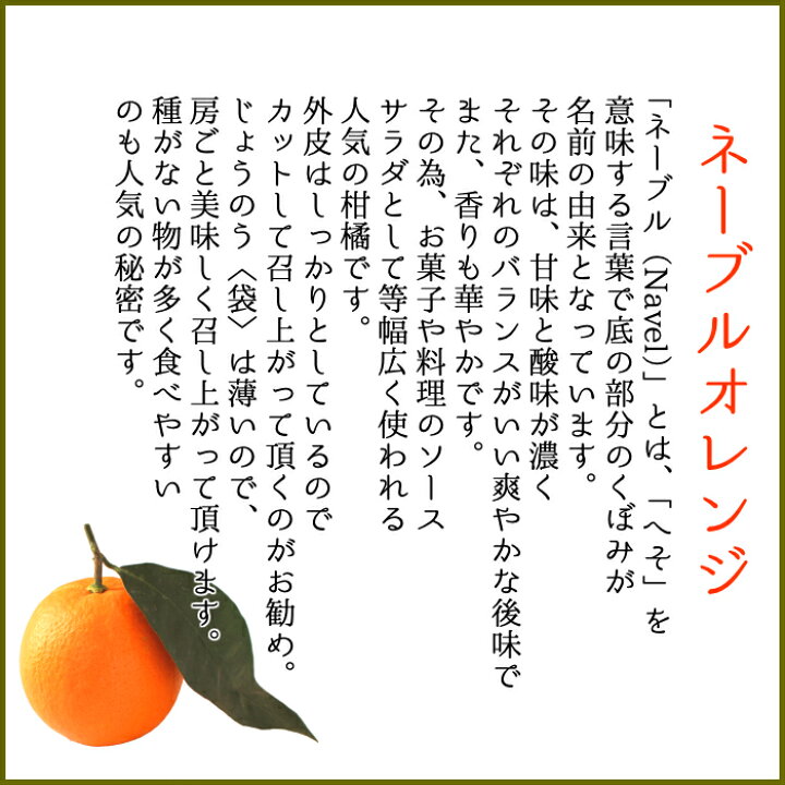 楽天市場 国産 ネーブル オレンジ 送料無料 秀品 L 2l 中玉 サイズ 5kg 樹上熟成 木熟 完熟 オレンジ紀州 和歌山 紀南 田辺 みかん ミカン フルーツ 果物糖度 高糖度 甘い 贈答用 贈り物 ギフト プレゼント 紀の 紀州の旬マルシェ 紀の 楽天市場 国産 ネーブル オレンジ 送料無料 秀品 L 2l 中玉 サイズ 5kg 樹上熟成 木熟 完熟 オレンジ紀州 和歌山 紀南 田辺 みかん ミカン フルーツ 果物糖度 高糖度 甘い 贈答用 贈り物 ギフト プレゼント 紀の 紀州の旬マルシェ 紀の