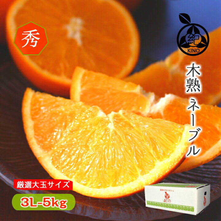 楽天市場 国産 ネーブル オレンジ 送料無料 秀品 3lサイズ 大玉 5kg 樹上熟成 木熟 完熟 オレンジ紀州 和歌山 紀南 田辺 みかん ミカン フルーツ 果物糖度 高糖度 甘い 贈答用 贈り物 ギフト プレゼント 紀の 紀州の旬マルシェ 紀の