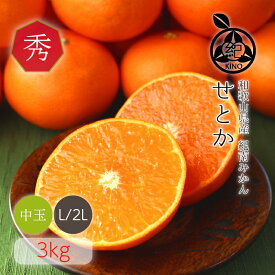 せとか 送料無料【 秀品 L/2Lサイズ (中玉から大玉) 3kg 】太陽の恵みをたっぷり浴びて育った露地栽培のせとかです見た目の美しい秀品 ギフトにもおすすめです昭和26年創業 目利きで選ぶこだわりみかん産地より直送 新鮮なままお届けします