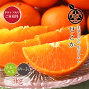 せとか 送料無料【 M〜3Lサイズ (小玉から大玉) 3kg 】多少キズありご家庭用太陽の恵みをたっぷり浴びて育った露地栽培のせとかです昭和26年創業 目利きで選ぶこだわりみかん産地より直送 新鮮なままお届けします