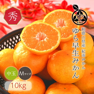 瑁݂ y Gi M TCY 10kg zH݂̍ō ̃RNƊÂMbƐgl܂ tNڂ̔Gi Mtgɂ߂ła26Nn ڗőI