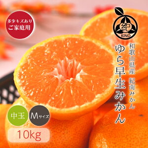 瑁݂ y M TCY 10kg zLY育ƒpH݂̍ō ̃RNƊÂMbƐgl܂ tNa26Nn ڗőIԂ݂Yn蒼