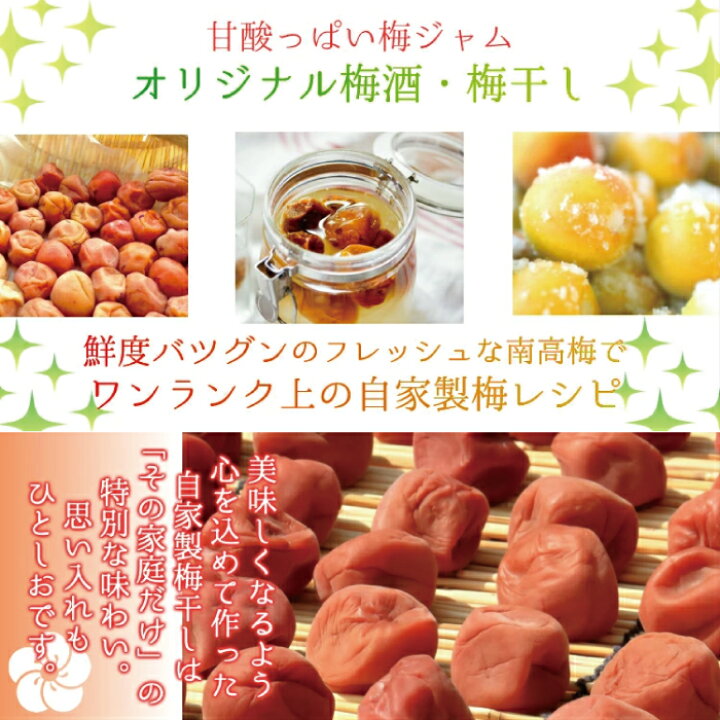 楽天市場】完熟 南高梅 梅干し用 送料無料 【本場紀州産】【 2L サイズ 