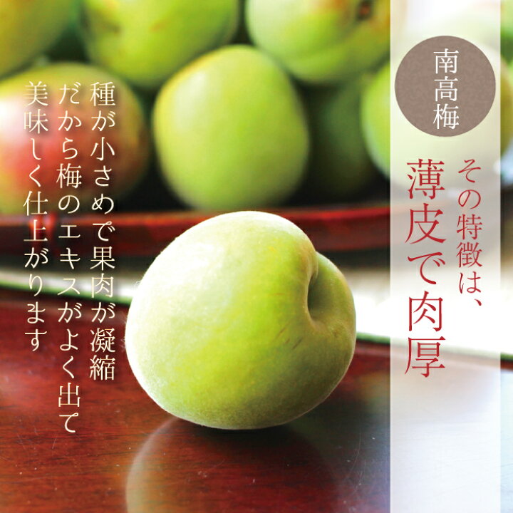 楽天市場 南高梅 青梅 送料無料 本場紀州産 秀品 3l サイズ 2kg 産地の市場で厳選したブランド梅を その日のうちに丁寧に手詰めし発送致します 和歌山産 みなべ 田辺 予約梅酒用 梅シロップ用 梅ジュース用 生梅 梅 大玉 大粒 紀の 紀州の旬マルシェ 紀の
